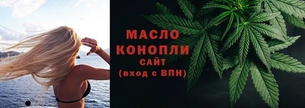 шишки Коряжма