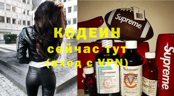 шишки Коряжма