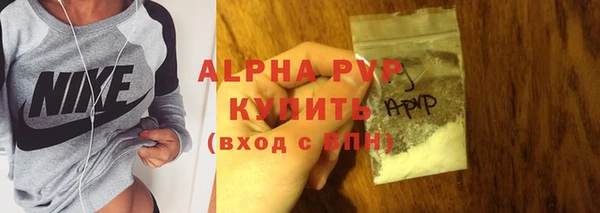 шишки Коряжма