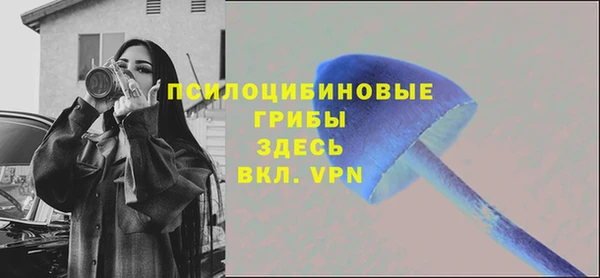 шишки Коряжма