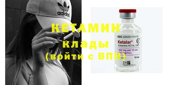 шишки Коряжма