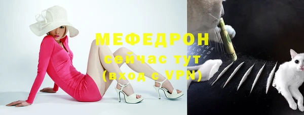 шишки Коряжма