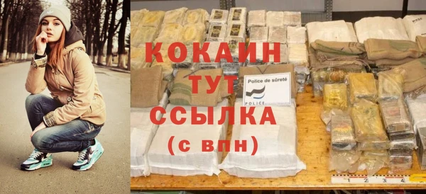 молекула духа Козельск