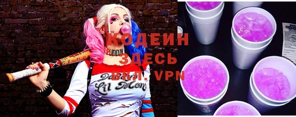 шишки Коряжма