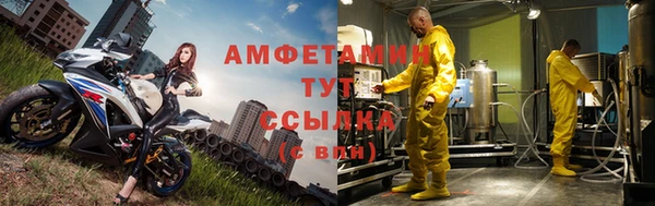 шишки Коряжма