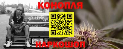 индика Дубна