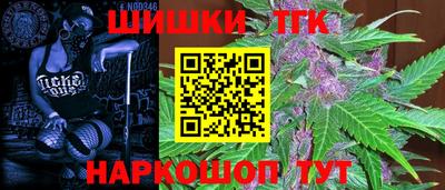 индика Дубна