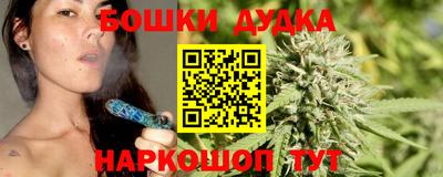 индика Дубна
