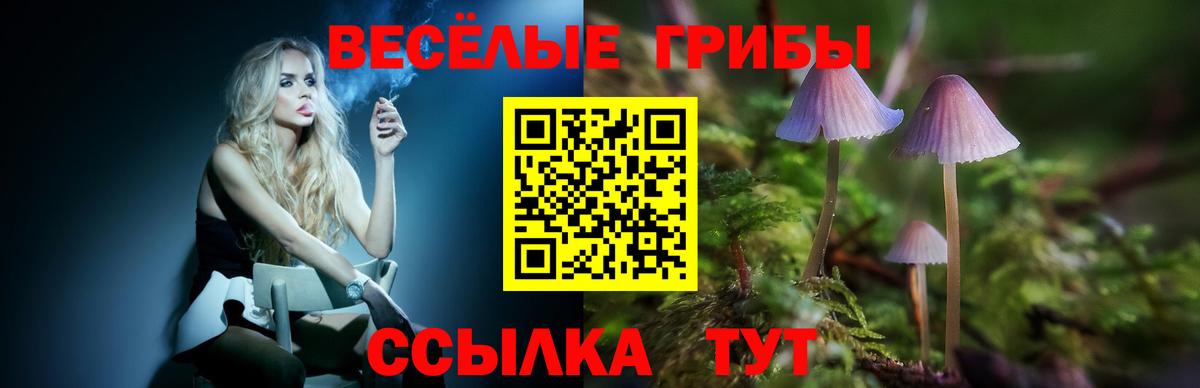 Галлюциногенные грибы Cubensis Коммунар